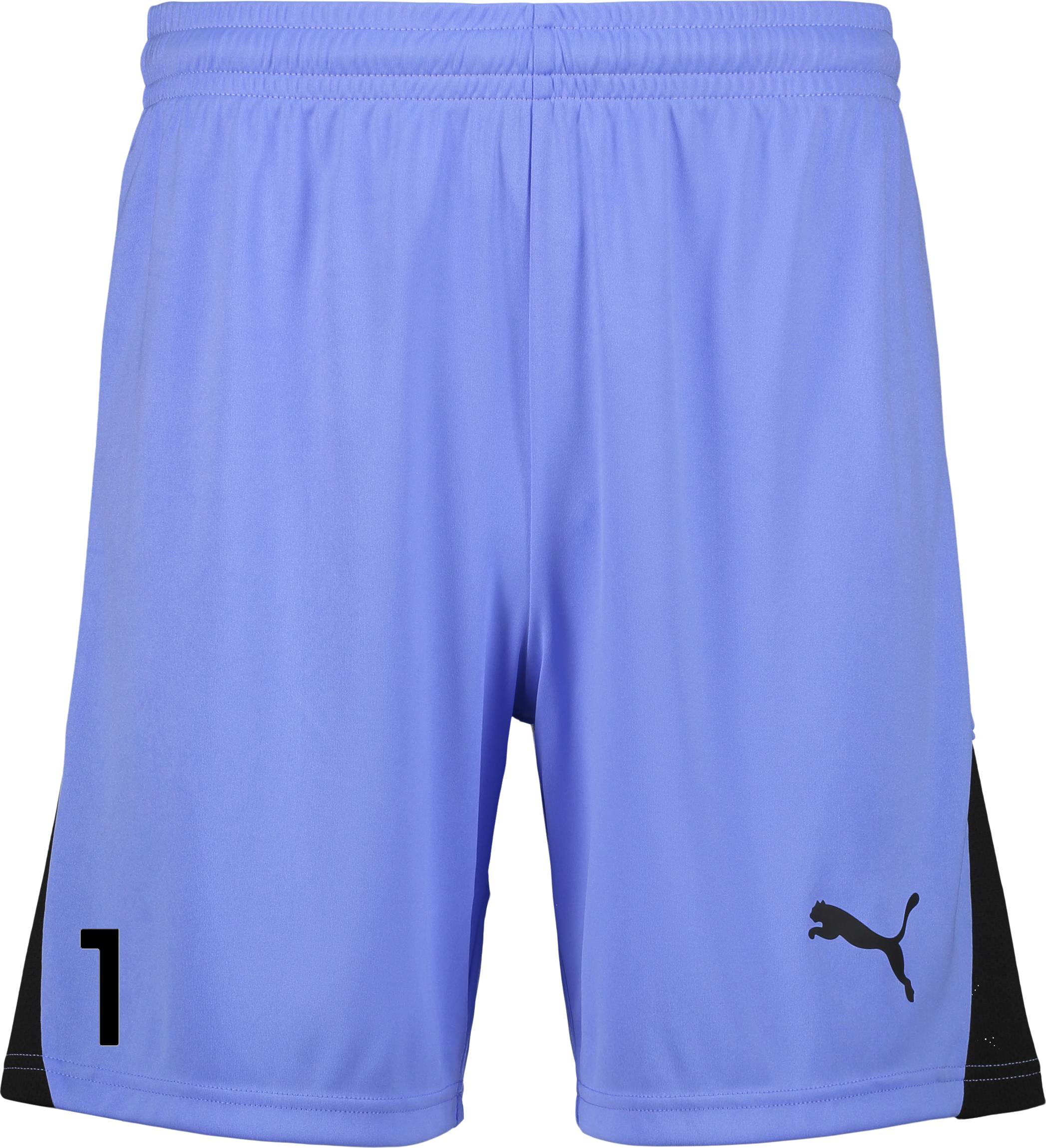 
PUMA, 
TEAMLIGA26 SHORTS JR, 
Detail 1
