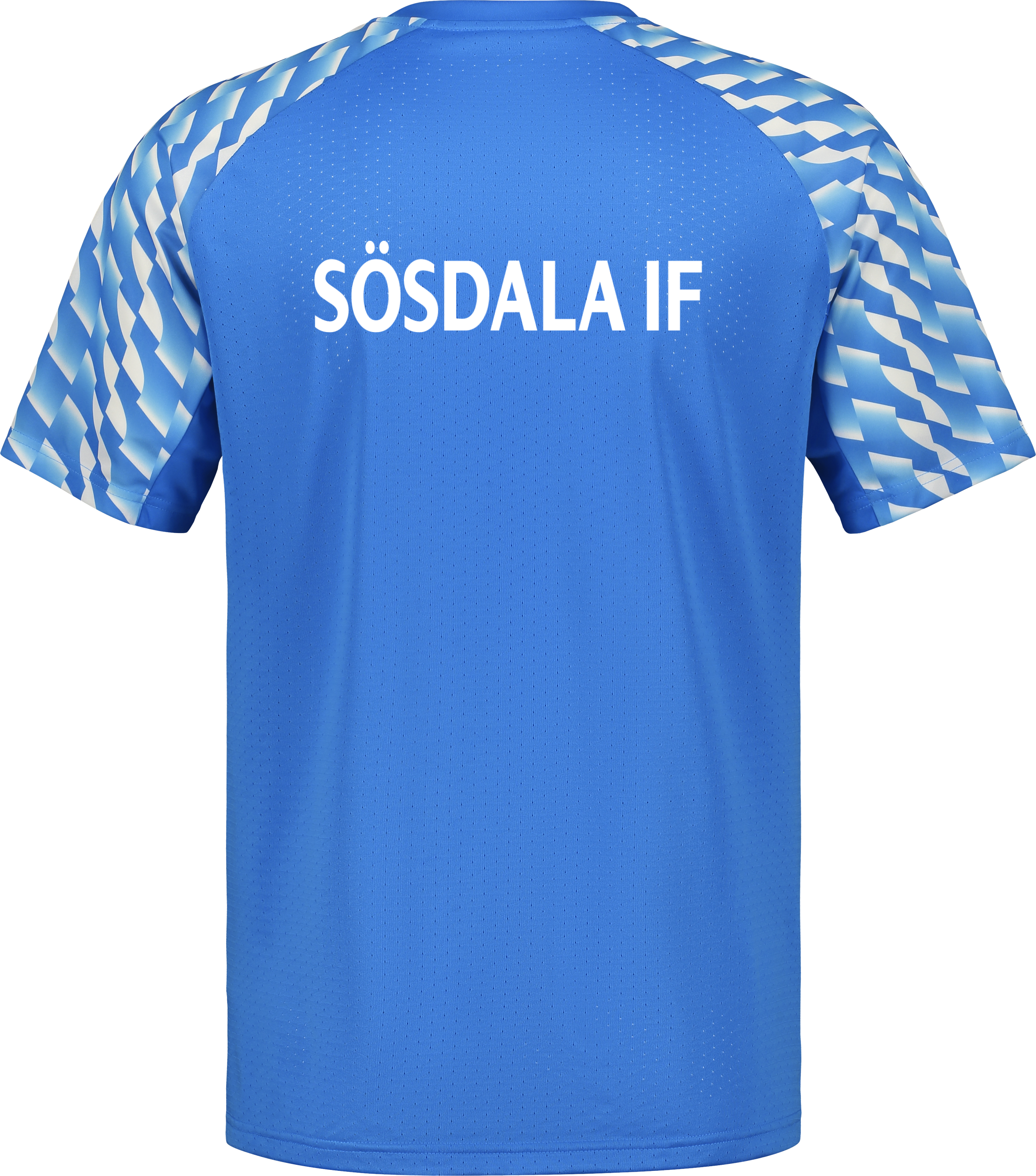 PUMA, TEAMLIGA26 JERSEY