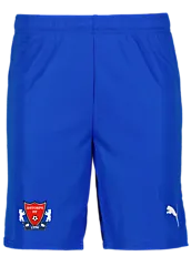 392286102101 PUMA T Goal Shorts Jr 392286102101 PUMA T Goal Shorts Jr Standard Small1x1