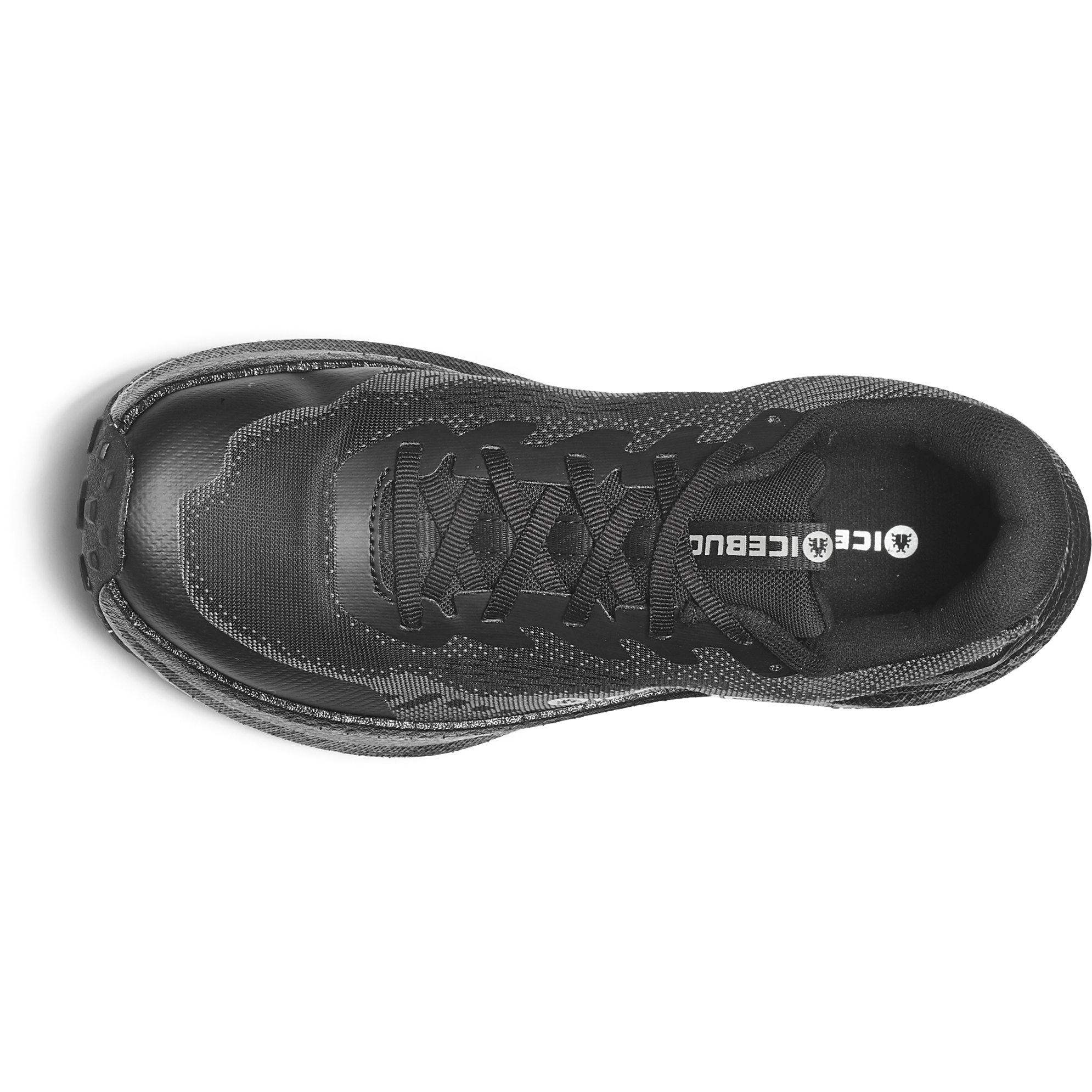 ICEBUG, W Myr Bugrip