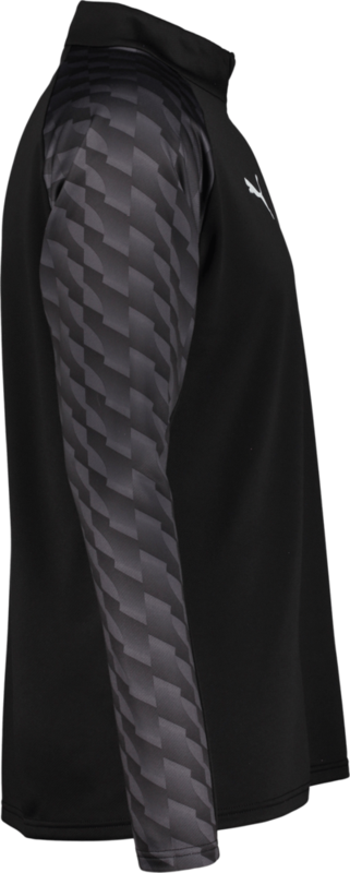 PUMA, TEAMLIGA26 TRAINING 1/4 ZIP TOP