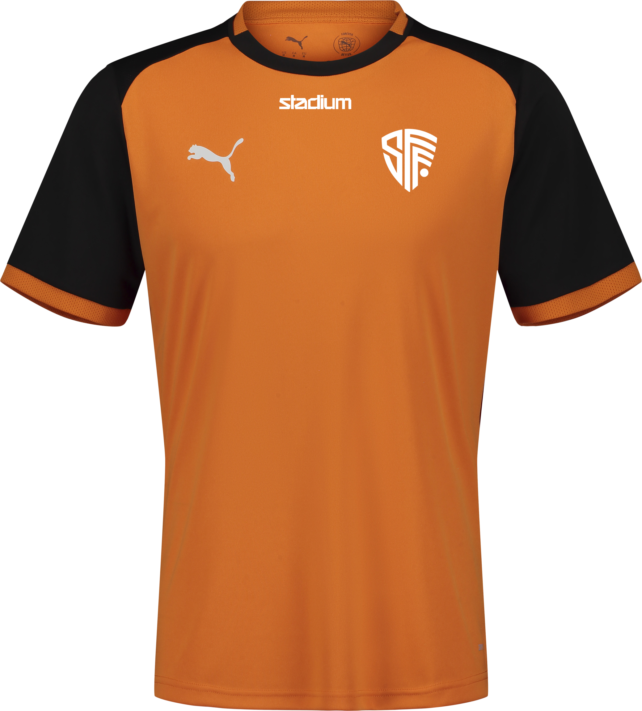
PUMA, 
TEAMLIGA26 MATCHDAY JERSEY, 
Detail 1
