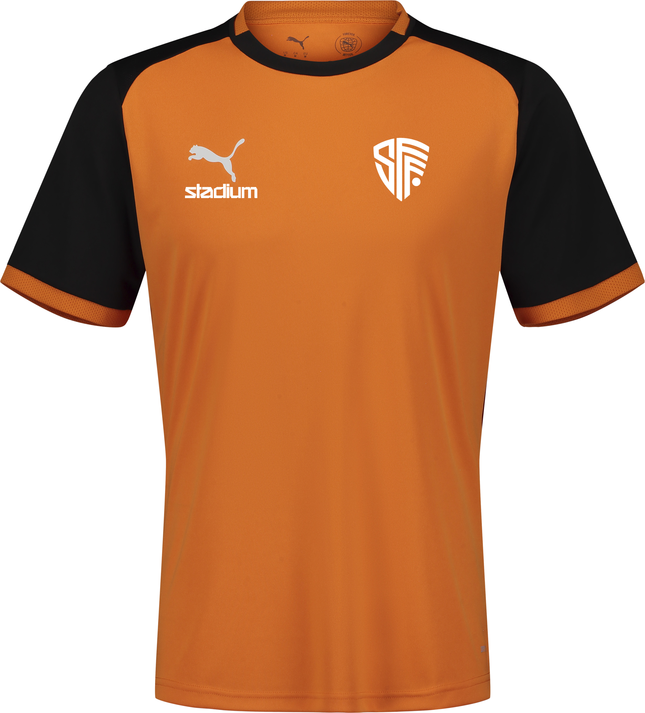 
PUMA, 
TEAMLIGA26 MATCHDAY JERSEY, 
Detail 1
