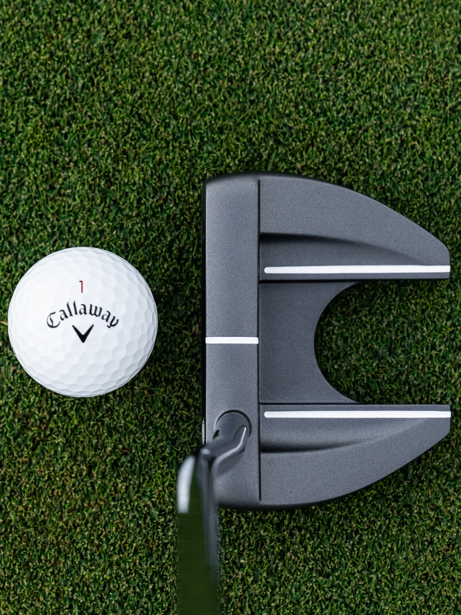 
ODYSSEY, 
Dfx 25 Vline Fang Os Rh, 
Detail 1
