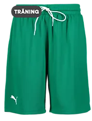 387570104101 PUMA Hoops Team Practice Short 387570104101 PUMA Hoops Team Practice Short Standard Small1x1