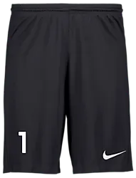 298936101101 NIKE Park III Short 298936101101 NIKE Park III Short Standard Small1x1