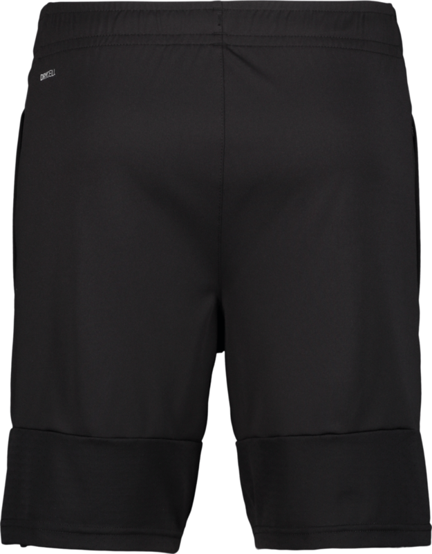 PUMA, TEAMLIGA TRAINING SHORTS