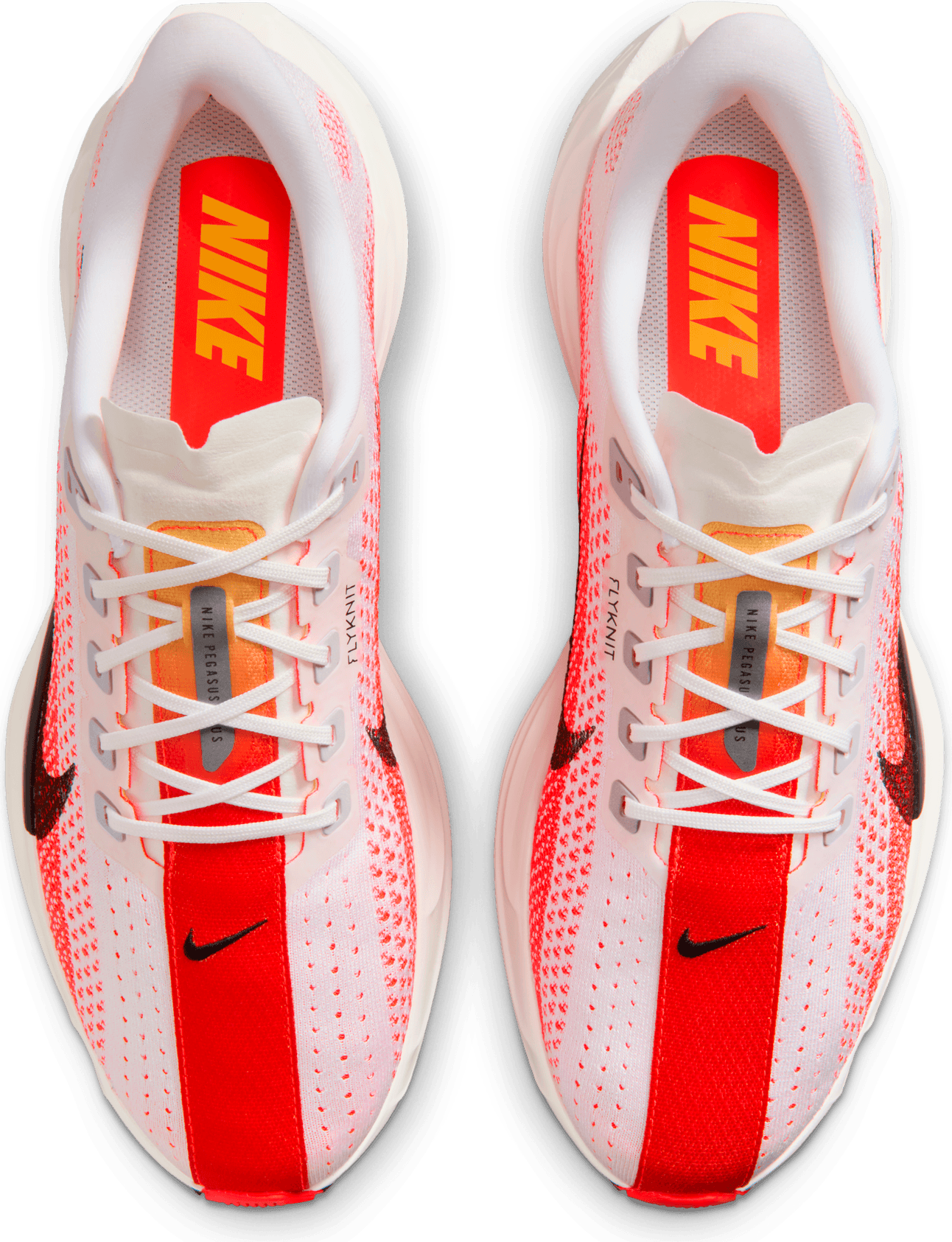 NIKE, M Pegasus Plus