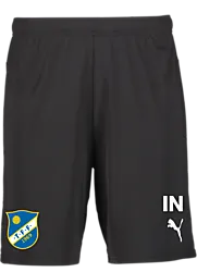 391942103101 PUMA T Goal Shorts 391942103101 PUMA T Goal Shorts Standard Small1x1