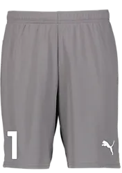 391942108101 PUMA T Goal Shorts 391942108101 PUMA T Goal Shorts Standard Small1x1