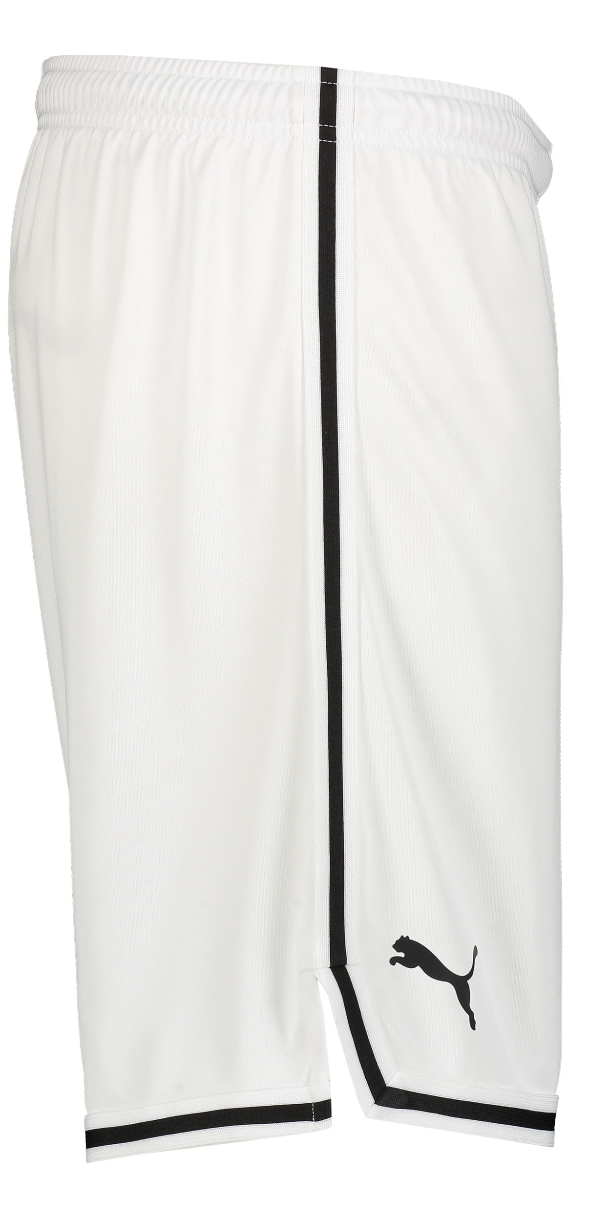 PUMA, Hoops Team Game Short