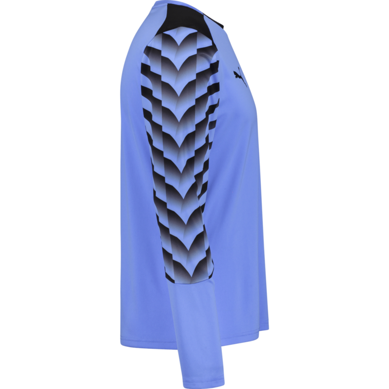 PUMA, TEAMLIGA26 GK JERSEY LS