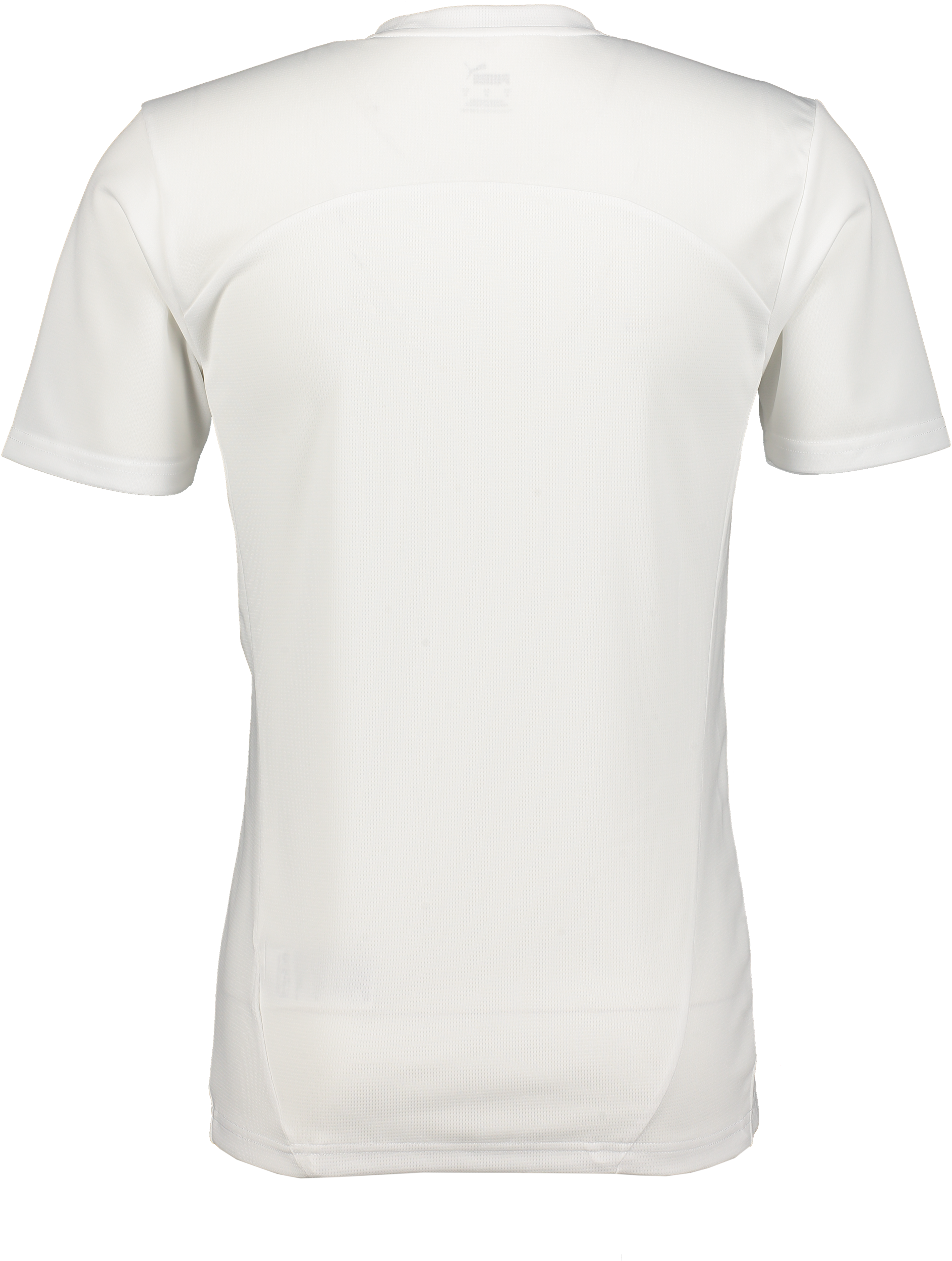 PUMA, T Final Trg Jsy