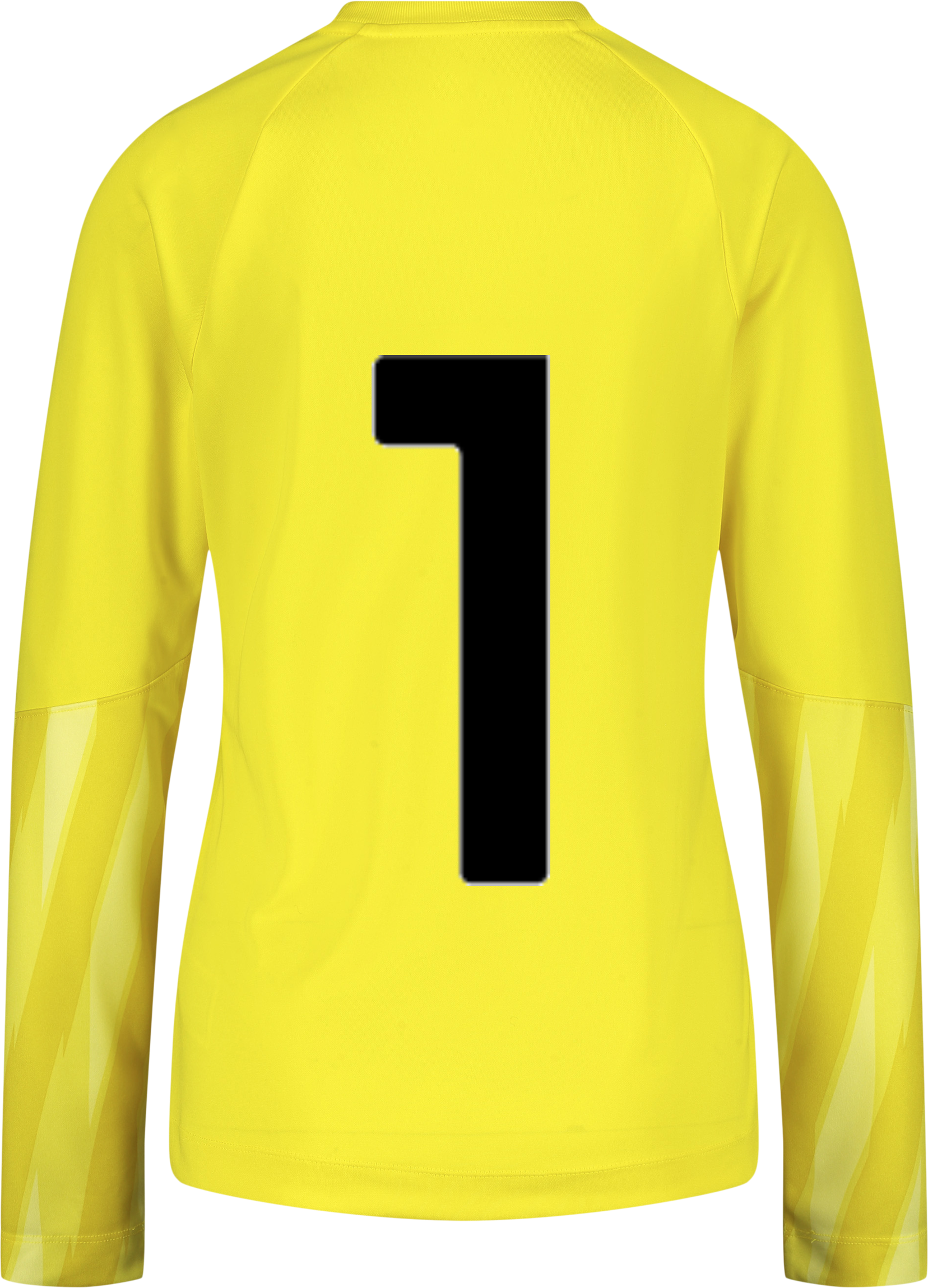 NIKE, PARK V GK LS JSY W
