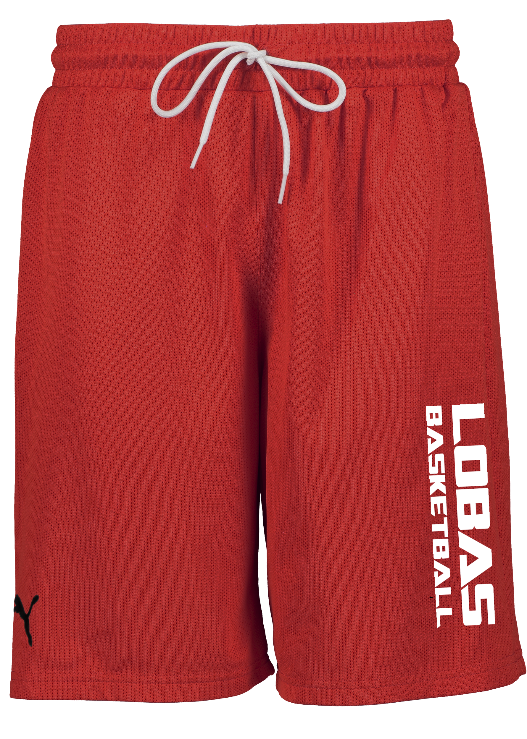 
PUMA, 
Hoops Team Junior Practice Short, 
Detail 1
