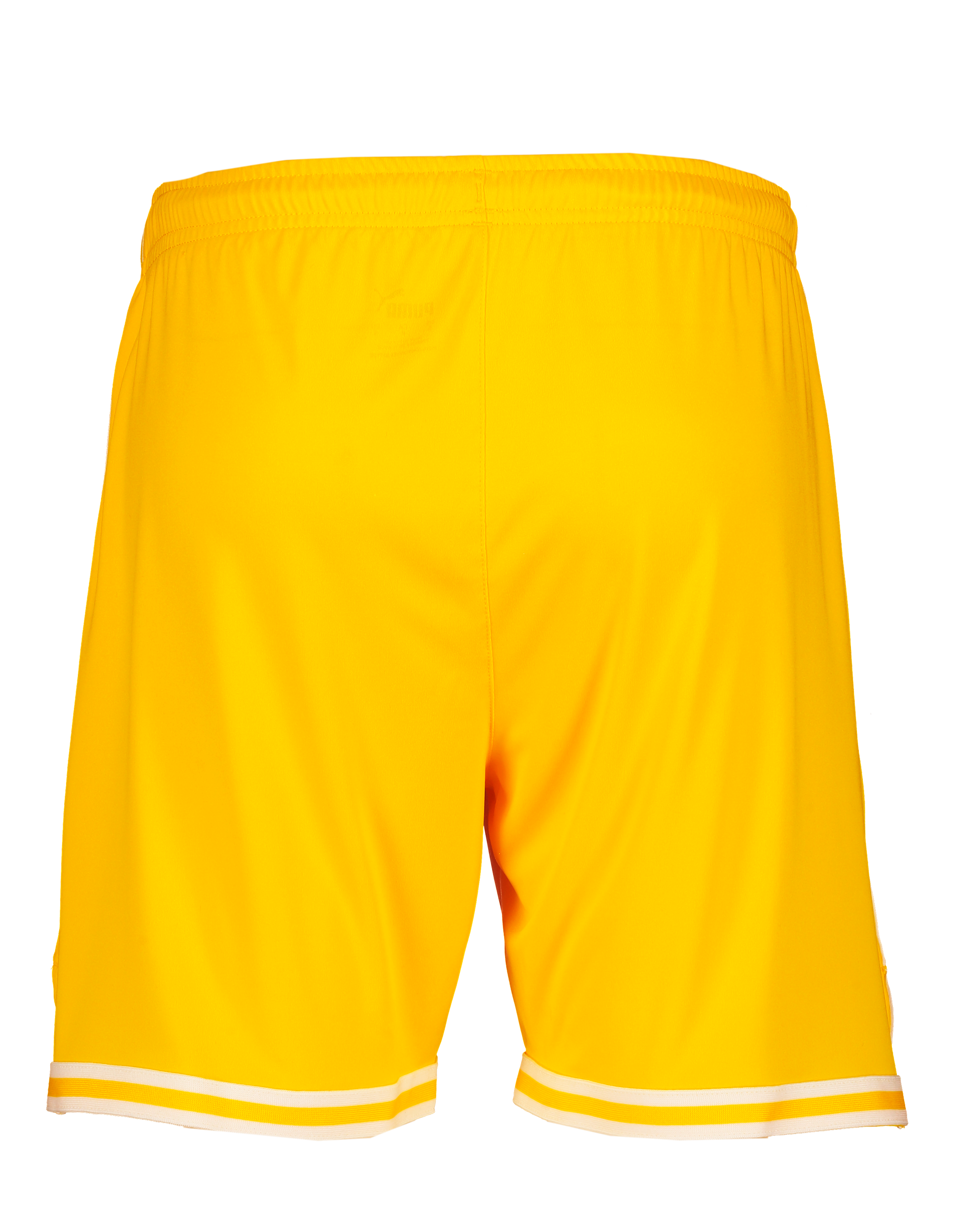 PUMA, Hoops Team Game Short
