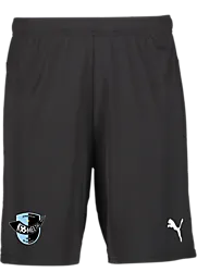 391942103101 PUMA T Goal Shorts 391942103101 PUMA T Goal Shorts Standard Small1x1