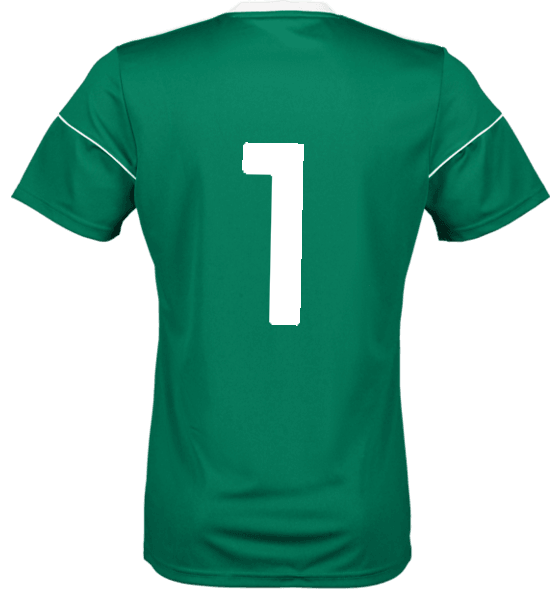 ADIDAS, CU ENT26 GRAPHIC JSY