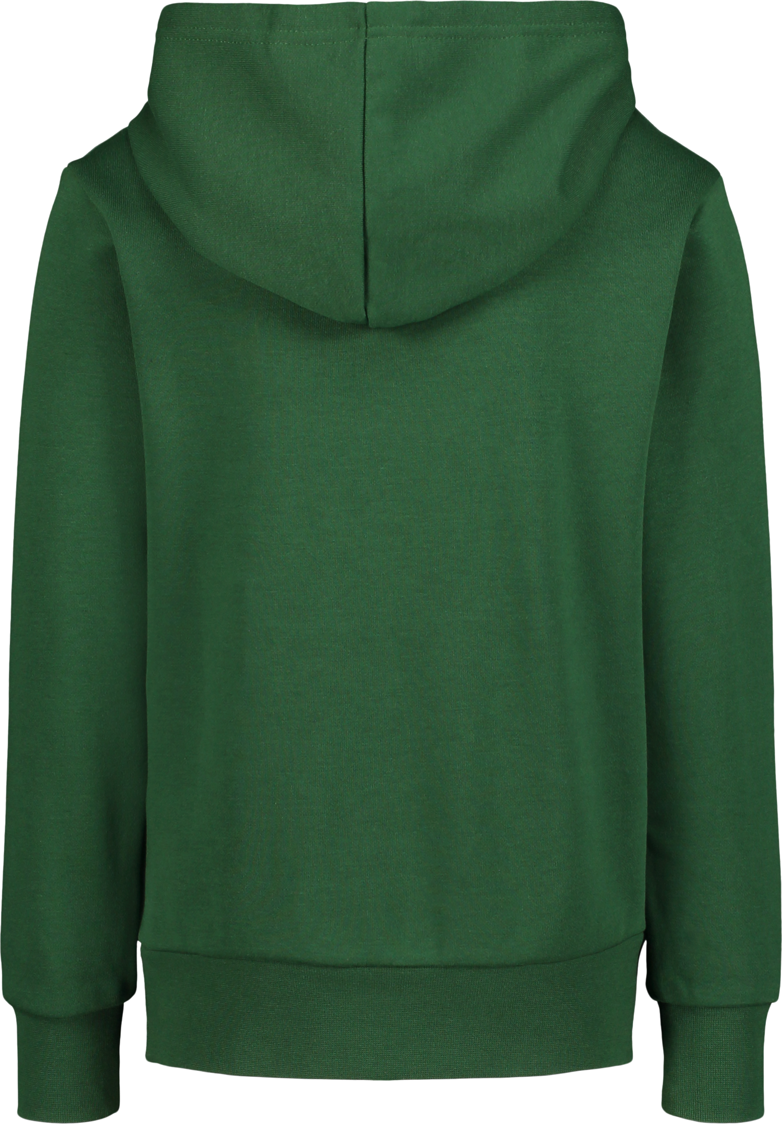 CHAMPION, HOODED SWEATSHIRT