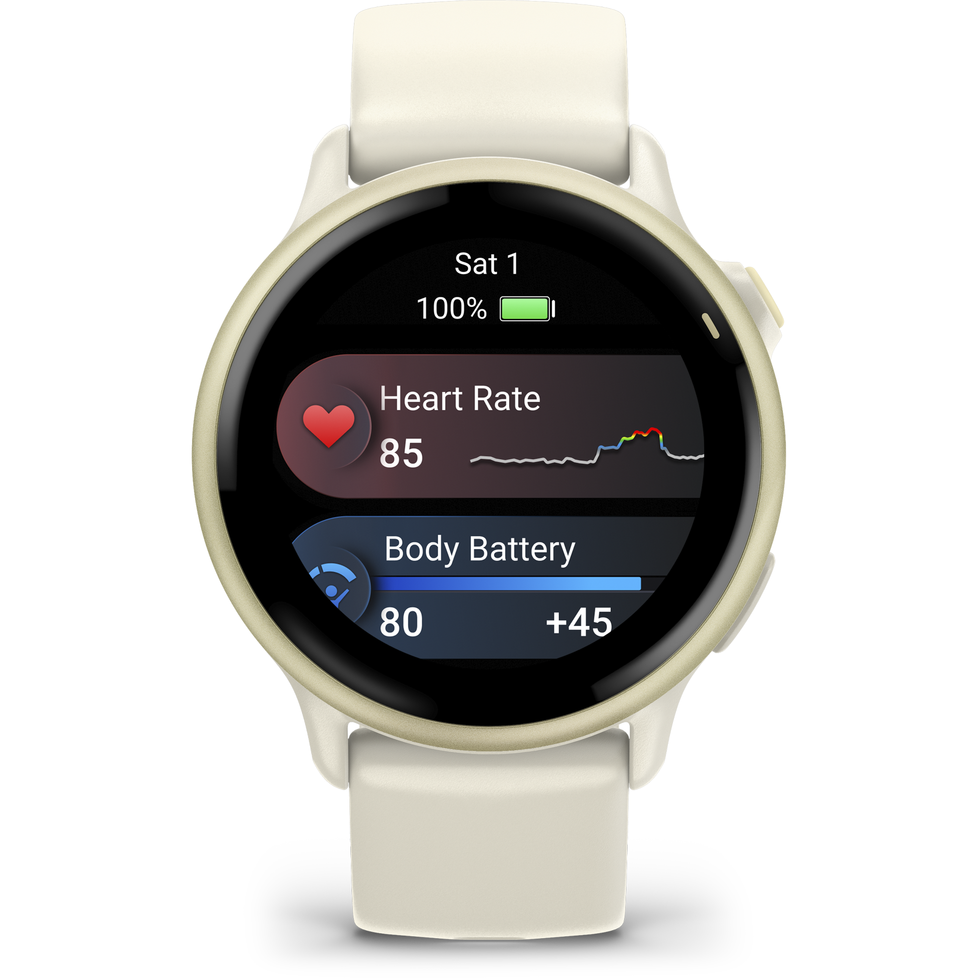 GARMIN, VIVOACTIVE 6