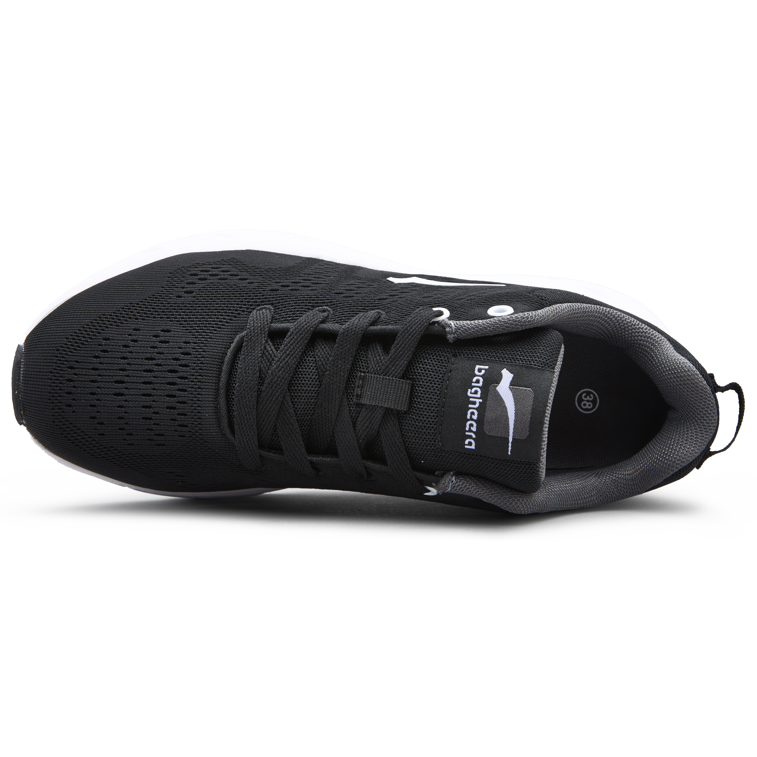 BAGHEERA, Octane Snk W