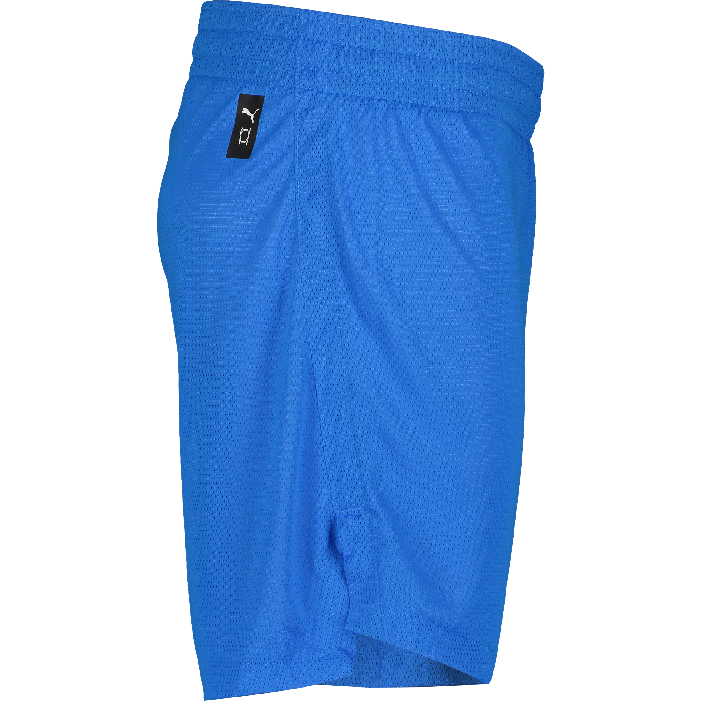 PUMA, TEAMJAWS PRACTICE SHORTS
