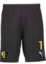 392286103101 PUMA T Goal Shorts Jr 392286103101 PUMA T Goal Shorts Jr Standard Small1x1