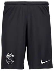 298936101101 NIKE Park III Short 298936101101 NIKE Park III Short Standard Small1x1