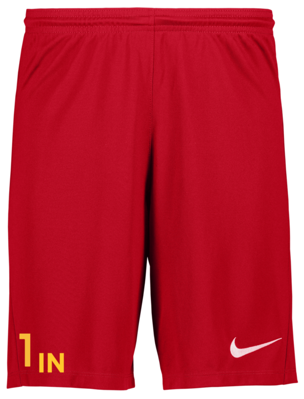 
NIKE, 
Park III Short Jr, 
Detail 1
