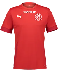 394120101101 PUMA T Goal Matchday Jsy 394120101101 PUMA T Goal Matchday Jsy Standard Small1x1
