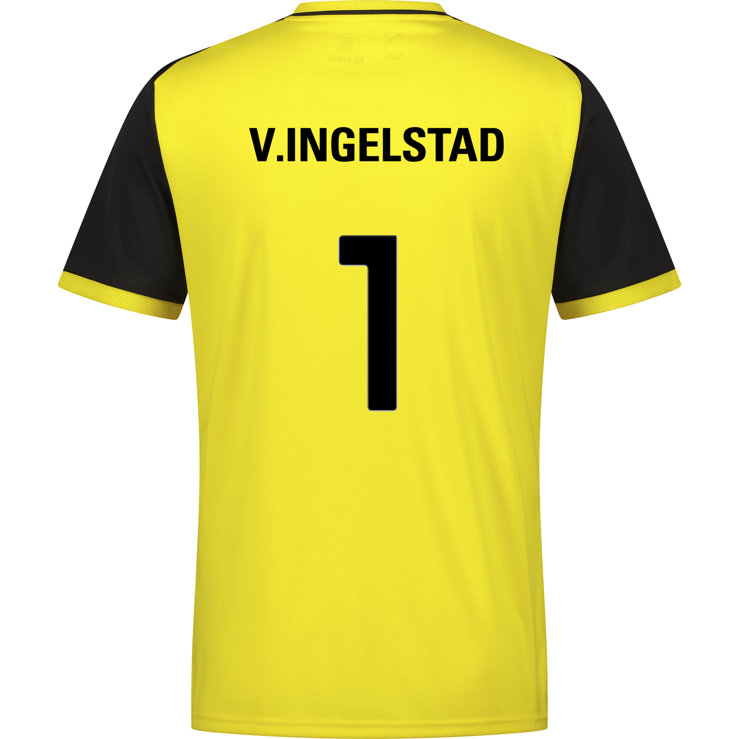 PUMA, TEAMLIGA26 MATCHDAY JERSEY