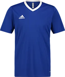 358910109101 ADIDAS Ent22 Jsy Tee Jr 358910109101 ADIDAS Ent22 Jsy Tee Jr Standard Small1x1