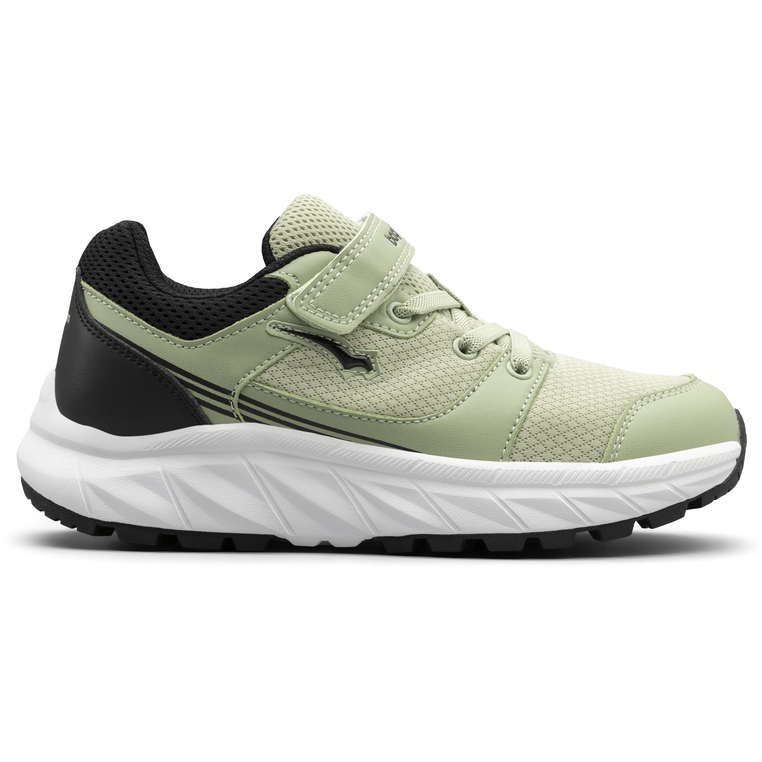 
BAGHEERA, 
Alpha Snk Jr, 
Detail 1
