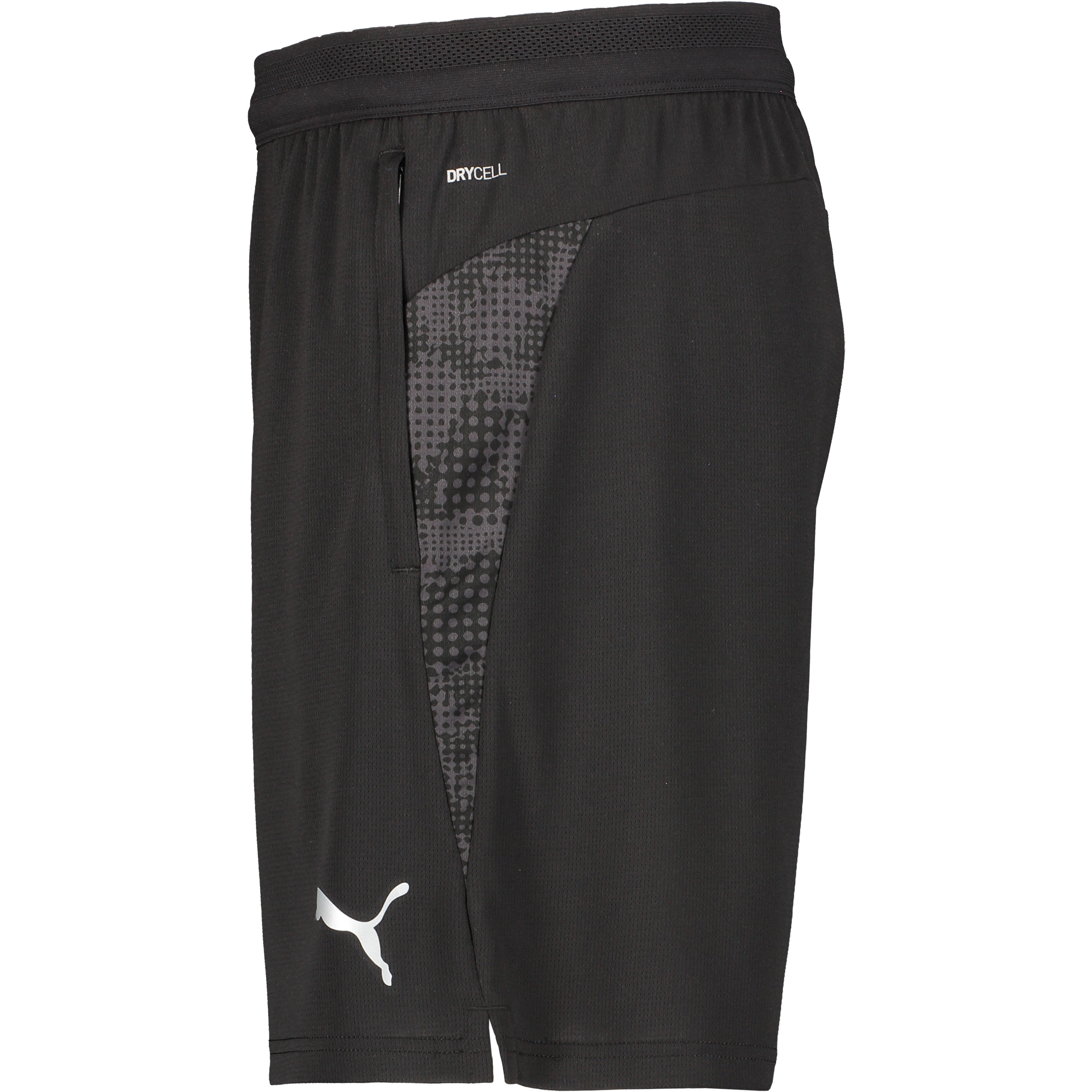 PUMA, Teamcup Training Shorts