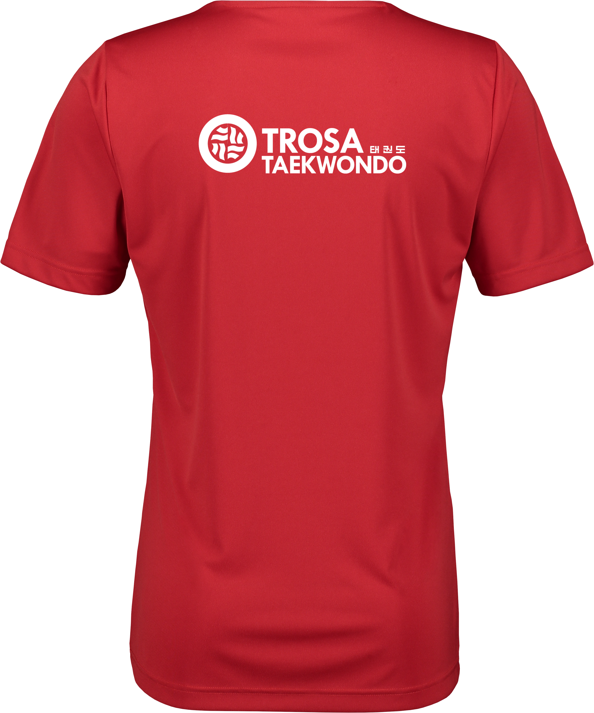 ADIDAS, Ent22 Jsy Tee Jr