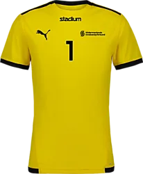 358884107101 PUMA T Liga Ss Jsy 358884107101 PUMA T Liga Ss Jsy Standard Small1x1