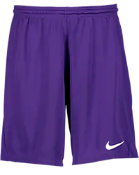 298936119101 NIKE Park III Short 298936119101 NIKE Park III Short Standard Small1x1