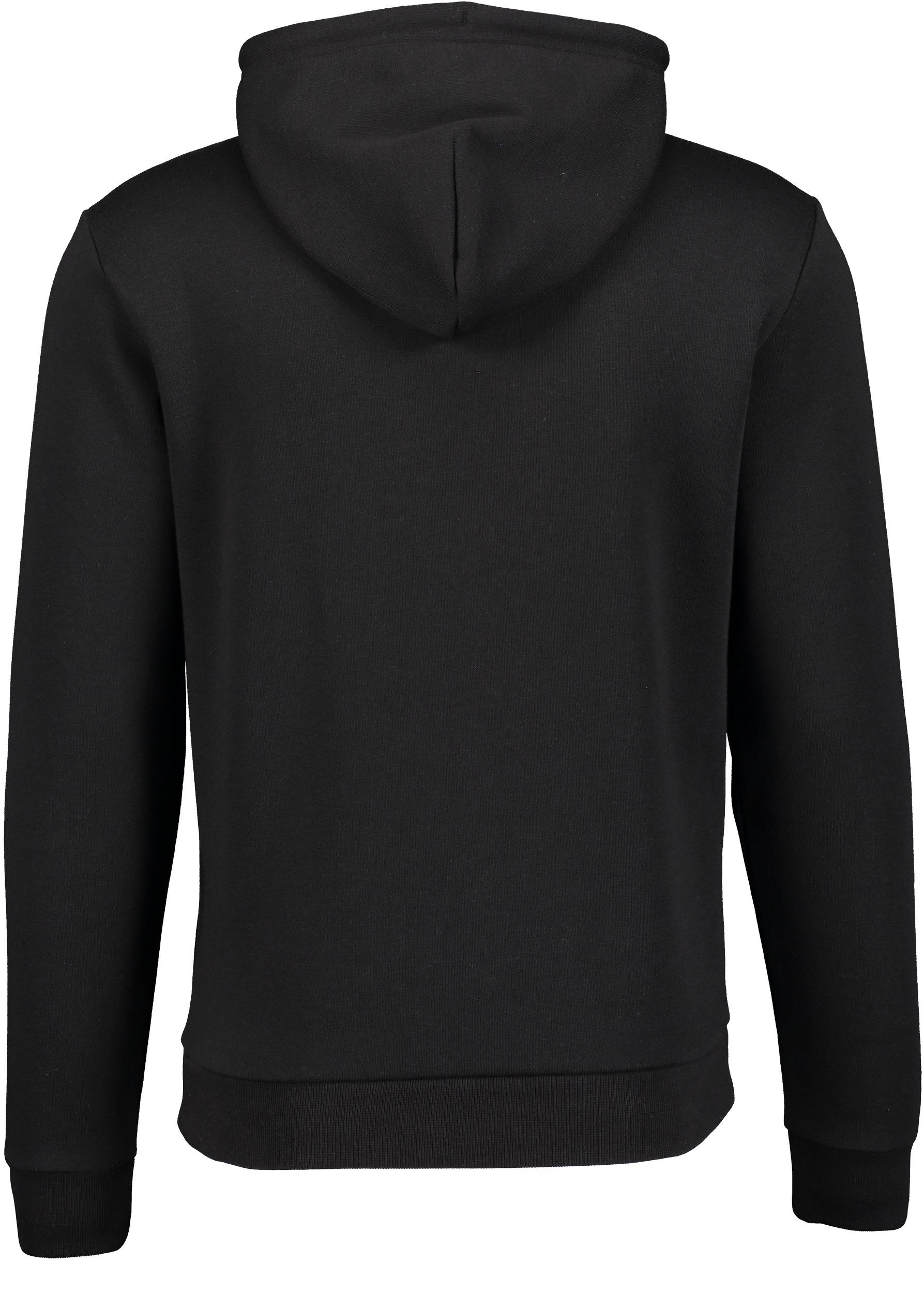 CHAMPION, Hooded Sweatshirt M