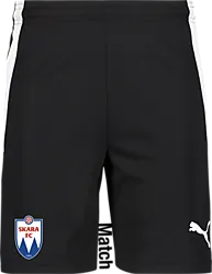 361522103101 PUMA T Liga Shorts 361522103101 PUMA T Liga Shorts Standard Small1x1