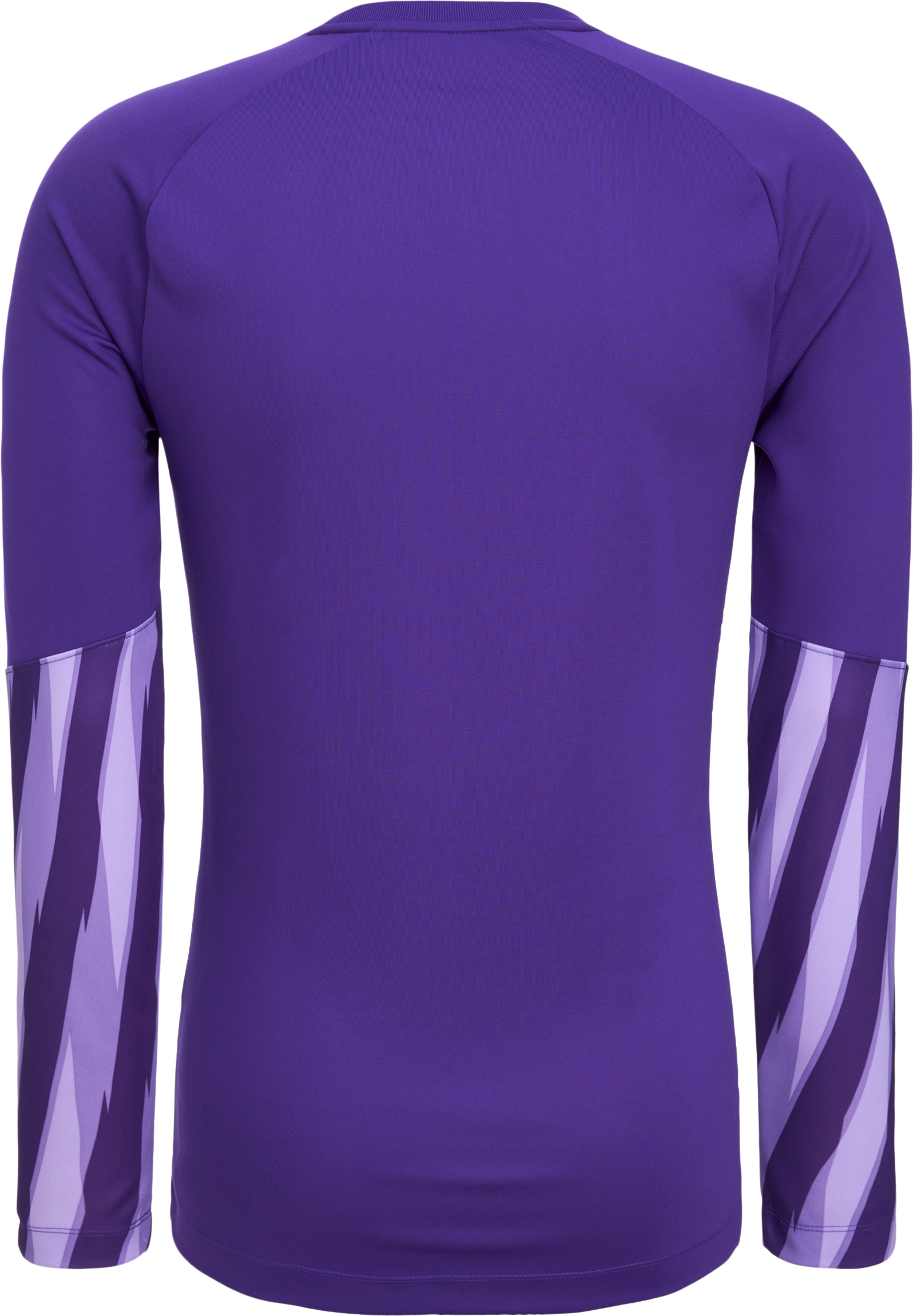 NIKE, PARK V GK LS JSY