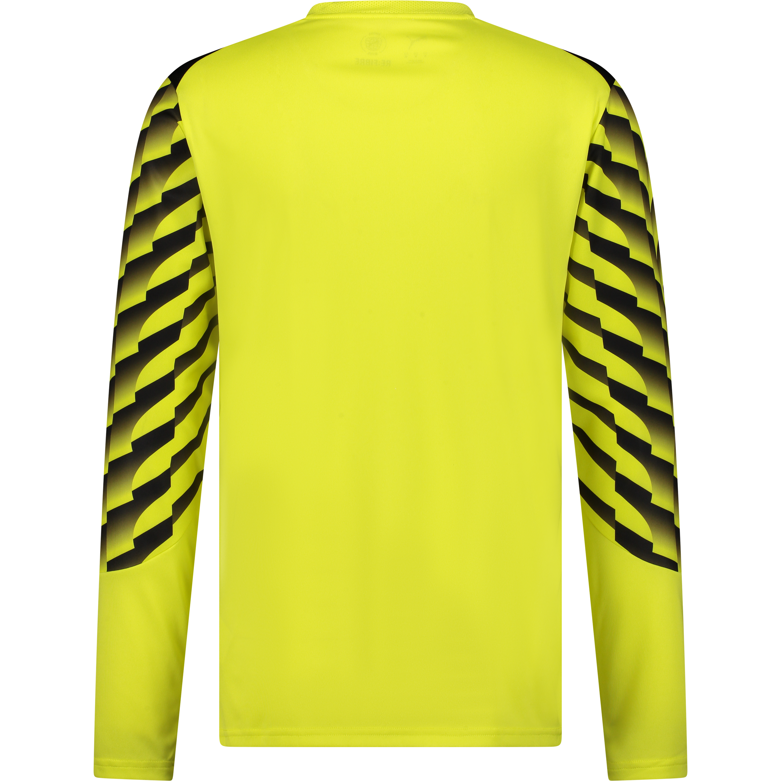 PUMA, TEAMLIGA26 GK JERSEY LS