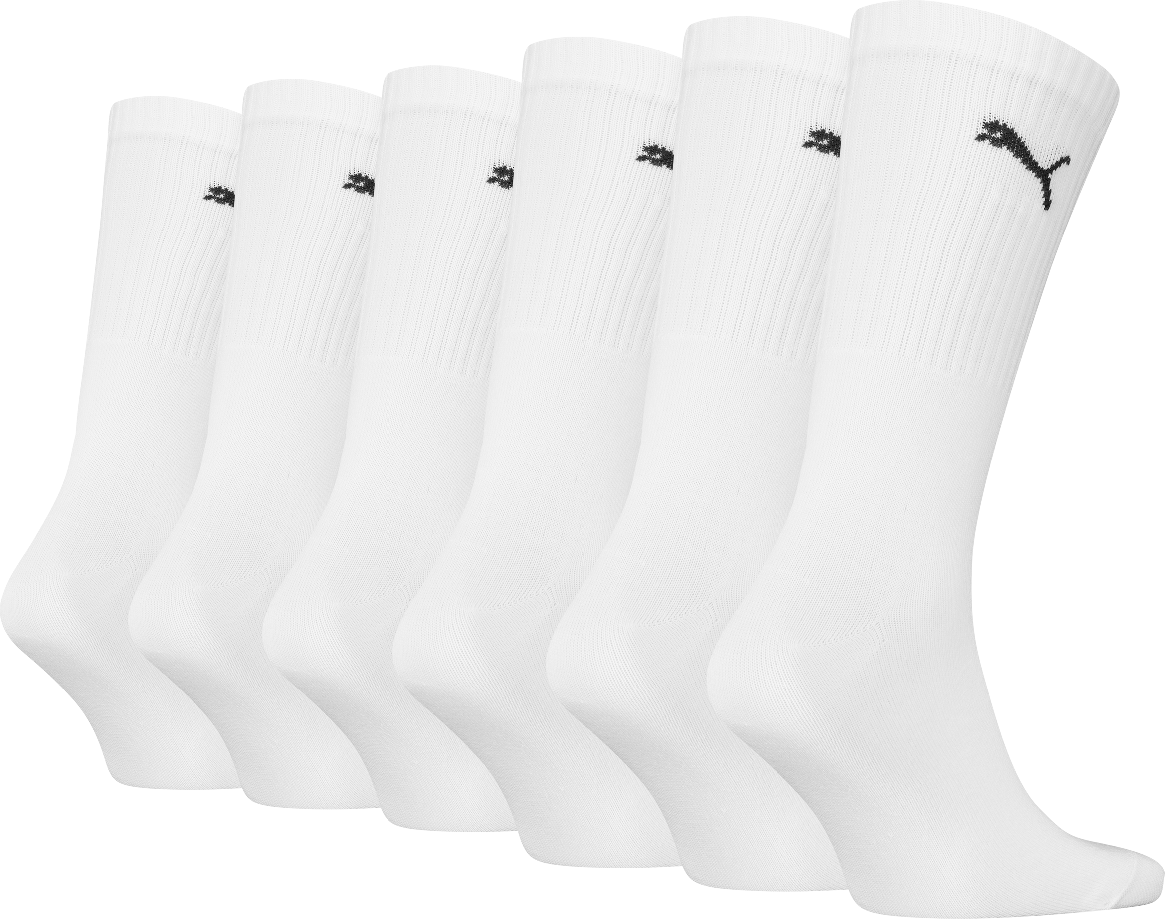 PUMA, U CREW PROMO 6P