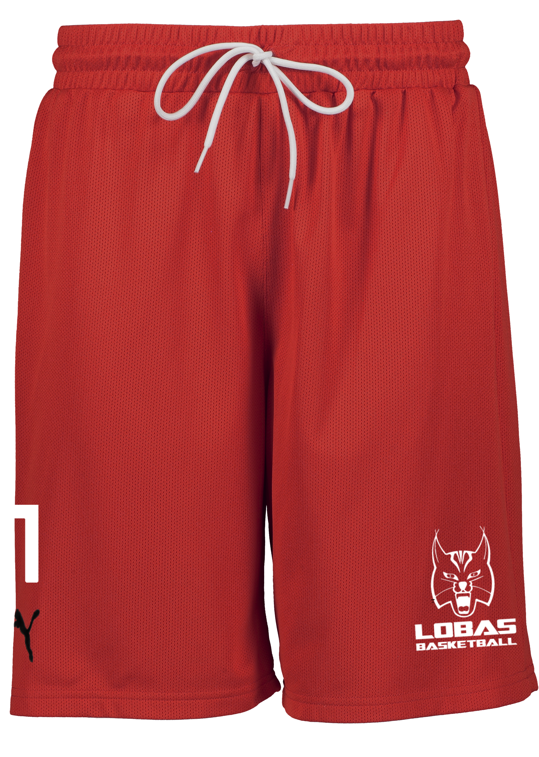 
PUMA, 
Hoops Team Practice Short, 
Detail 1
