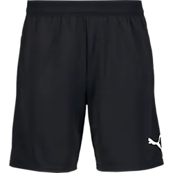 404665103101 PUMA Teamcup Shorts 404665103101 PUMA Teamcup Shorts Standard Small1x1
