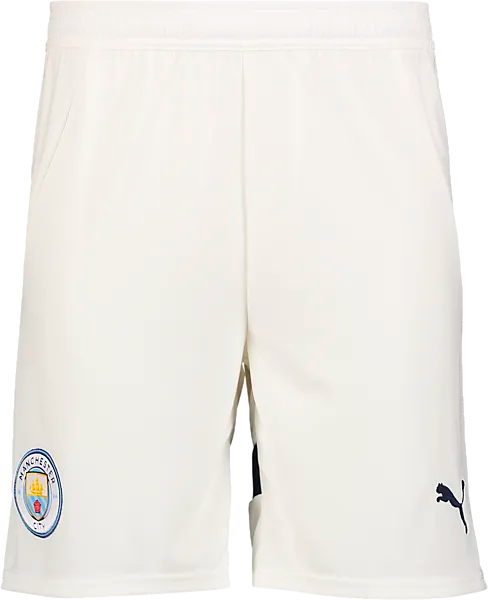PUMA Копия шорт Mcfc