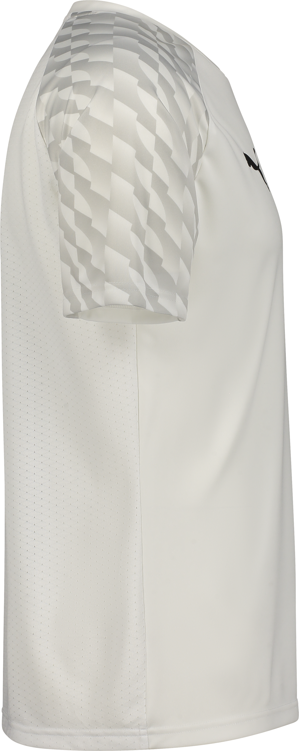 PUMA, TEAMLIGA26 JERSEY JR