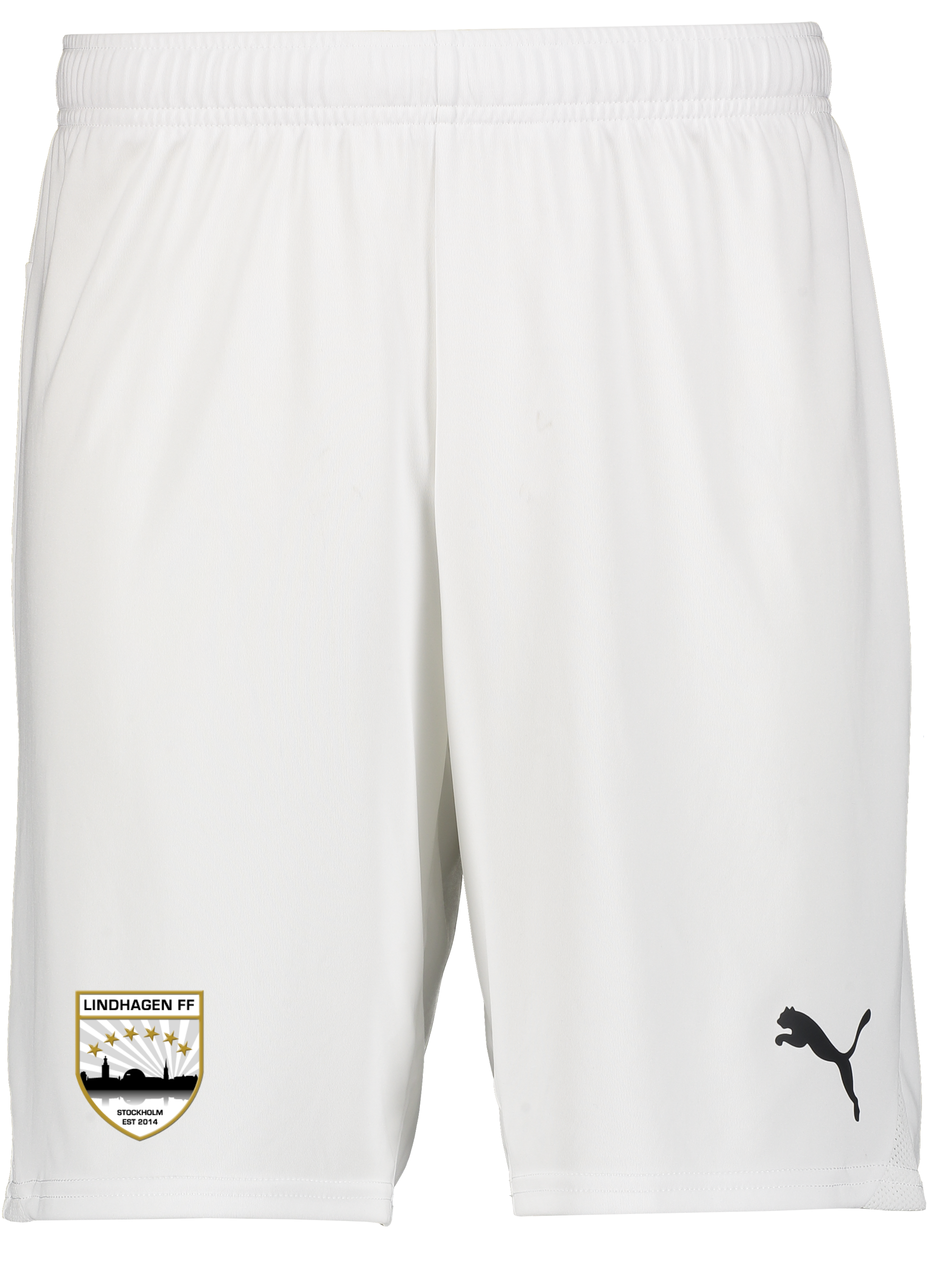 
PUMA, 
T Goal Shorts, 
Detail 1
