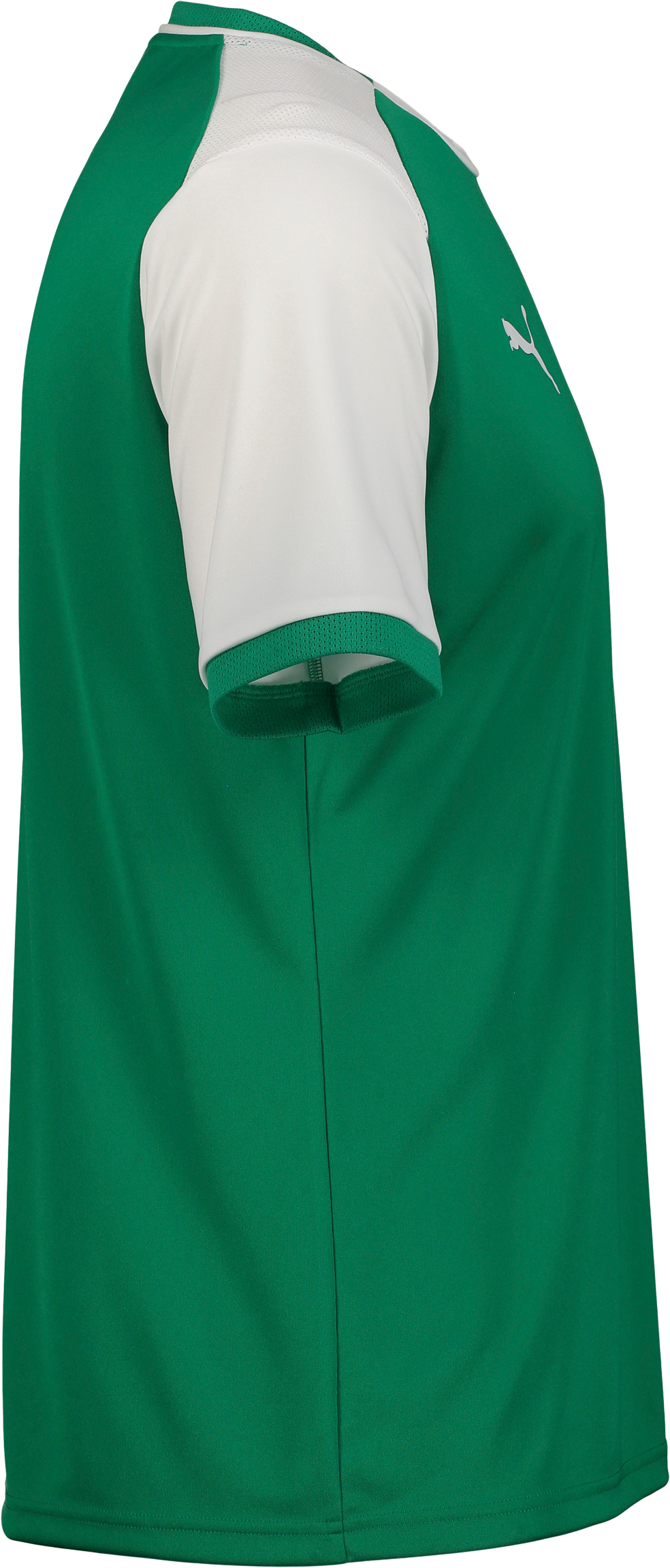 PUMA, TEAMLIGA26 MATCHDAY JERSEY