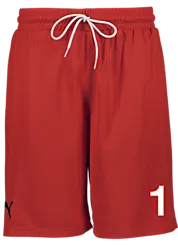 387570103101 PUMA Hoops Team Practice Short 387570103101 PUMA Hoops Team Practice Short Standard Small1x1