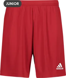 358899101101 ADIDAS Ent22 Shorts Jr 358899101101 ADIDAS Ent22 Shorts Jr Standard Small1x1